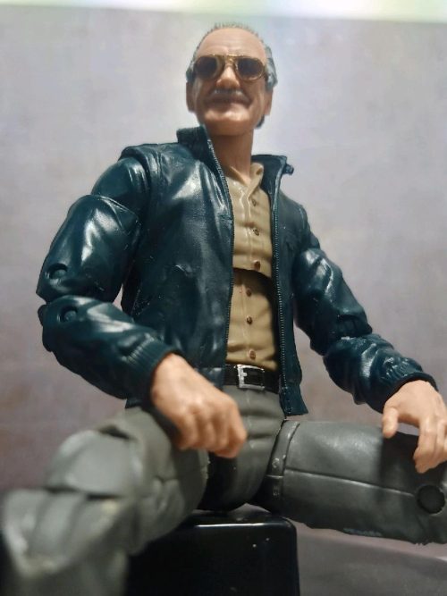 Marvel Character Stan Lee with Glasses