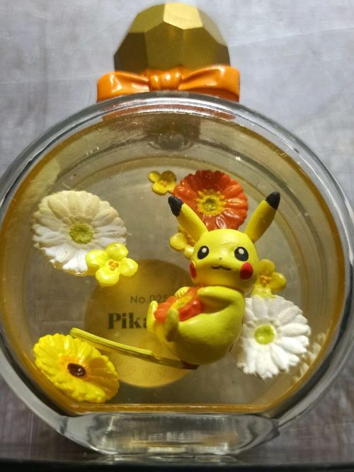 Pokemon Pikachu Rement Petite Fleur