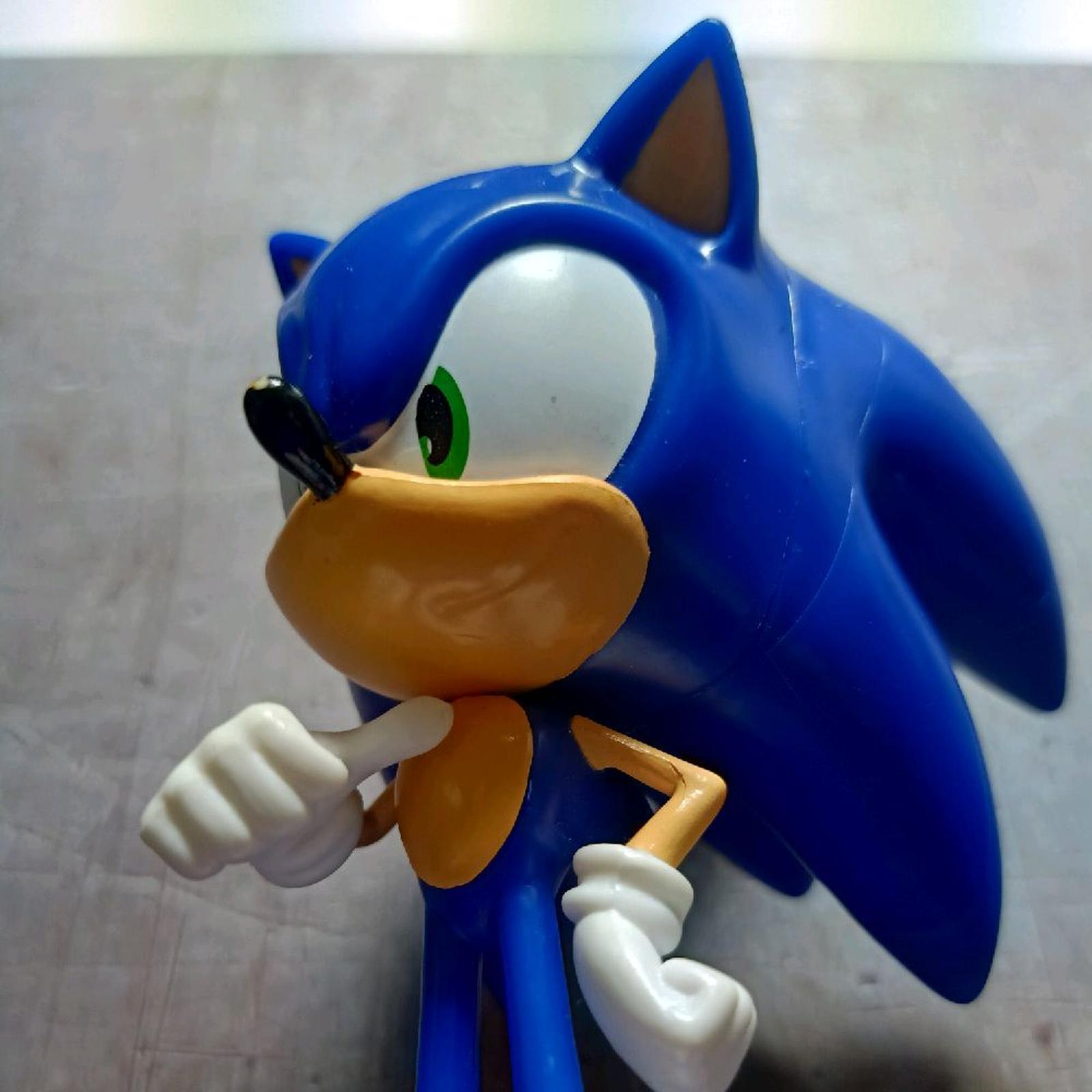 Sega Character Sonic The Hedgehog
