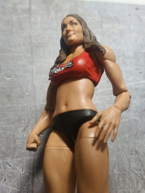 Action Figure Wrestlemania WWE WWF Nikki Bella